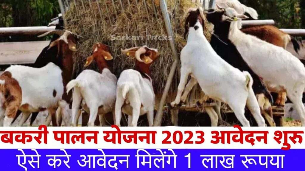 Bihar Bakri Palan Yojana 2023