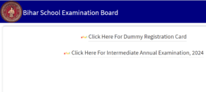 Bihar Board 12th Dummy Registration Card 2024