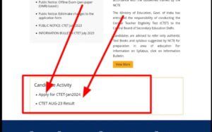 CTET Notification 2024