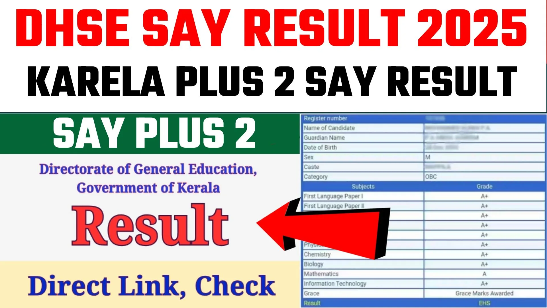 Kerala Plus Two SAY Result 2025