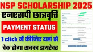 NSP Scholarship Payment Status 2025